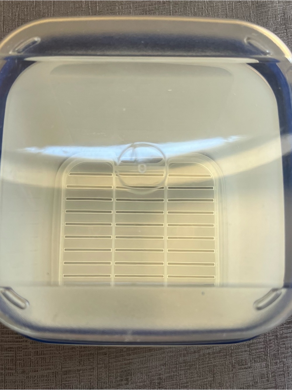 Tupperware White Container with Blue Seal and Clear Lid - Picture 13 of 13